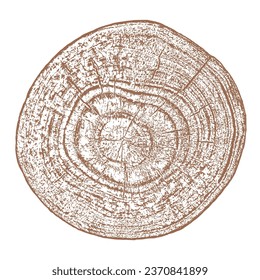 Wood tree ring texture cross section vector. Natural grain pattern circle background. Timber trunk log slice brown organic round annual growth crack split