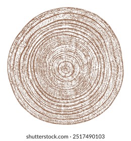 Holzstrukturquerschnitt von Baumringen. Schnitt Scheibe aus Holzstumpf, einzeln auf weiß. Texturierte Oberfläche mit Ringen und Rissen. Brauner Hintergrund aus Hartholz aus dem Wald. Vektor. EPS 10.