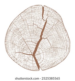 Textura de madera de árbol. Tronco viejo de madera. Corta troncos de madera. Anillos Abstractas patrón de la naturaleza. Tocón de círculo marrón. Sección transversal de madera. Ilustración vectorial. EPS 10.