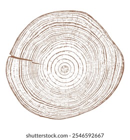 Holzstrukturquerschnitt von Baumringen. Schnitt Scheibe aus Holzstumpf, einzeln auf weiß. Texturierte Oberfläche mit Ringen und Rissen. Brauner Hintergrund aus Hartholz aus dem Wald. Vektor. EPS 10.