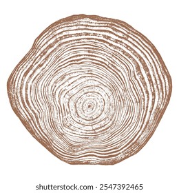 Holzstrukturquerschnitt von Baumringen. Schnitt Scheibe aus Holzstumpf, einzeln auf weiß. Texturierte Oberfläche mit Ringen und Rissen. Brauner Hintergrund aus Hartholz aus dem Wald. Vektor. EPS 10.