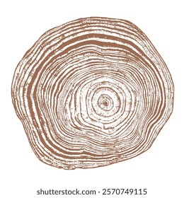 Wood tree ring texture cross section vector. Natural grain pattern circle background. Timber trunk log slice brown organic round annual growth crack split