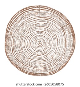 Wood tree ring texture cross section vector. Natural grain pattern circle background. Timber trunk log slice brown organic round annual growth crack split