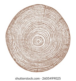 Wood tree ring texture cross section vector. Natural grain pattern circle background. Timber trunk log slice brown organic round annual growth crack split