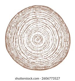 Wood tree ring texture cross section vector. Natural grain pattern circle background. Timber trunk log slice brown organic round annual growth crack split