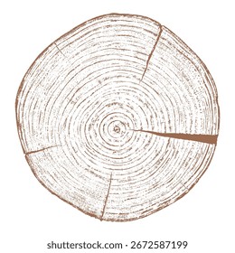 Seção transversal de anéis de árvores com textura de madeira. Fatia cortada de coto de madeira isolada no branco. Superfície texturizada com anéis e fendas. Fundo castanho feito de madeira de lei da floresta. Vetor, EPS 10.