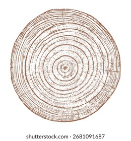 Holzstrukturquerschnitt von Baumringen. Schnitt Scheibe aus Holzstumpf, einzeln auf weiß. Texturierte Oberfläche mit Ringen und Rissen. Brauner Hintergrund aus Hartholz aus dem Wald. Vektor. EPS 10.
