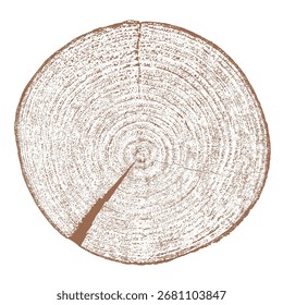 Holzstrukturquerschnitt von Baumringen. Schnitt Scheibe aus Holzstumpf, einzeln auf weiß. Texturierte Oberfläche mit Ringen und Rissen. Brauner Hintergrund aus Hartholz aus dem Wald. Vektor. EPS 10.