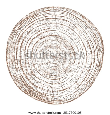 Wood tree ring texture cross section vector. Natural grain pattern circle background. Timber trunk log slice brown organic round annual growth crack split