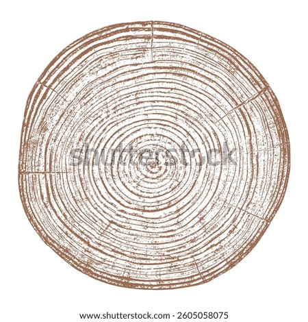 Wood tree ring texture cross section vector. Natural grain pattern circle background. Timber trunk log slice brown organic round annual growth crack split