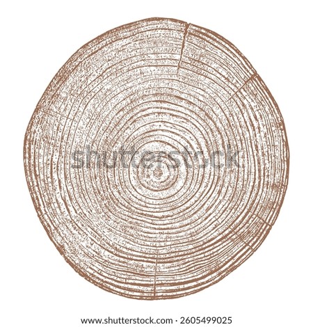 Wood tree ring texture cross section vector. Natural grain pattern circle background. Timber trunk log slice brown organic round annual growth crack split