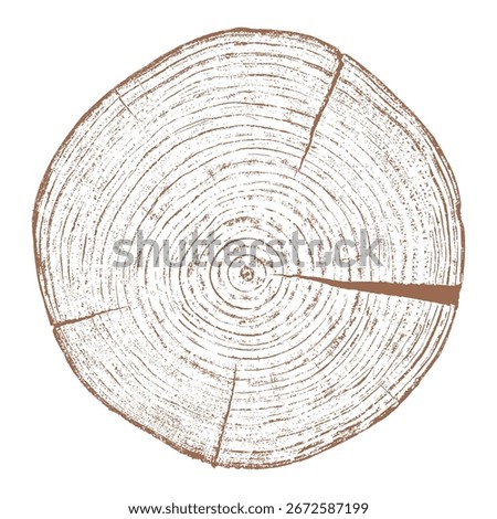 Wood tree ring texture cross section vector. Natural grain pattern circle background. Timber trunk log slice brown organic round annual growth crack split