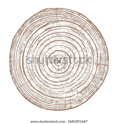 Wood tree ring texture cross section vector. Natural grain pattern circle background. Timber trunk log slice brown organic round annual growth crack split