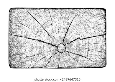 Baumstruktur auf weißem Hintergrund. Distressed Wood Overlay strukturiert. Altes hölzernes Gestaltungselement. Querschnitt Baumringe geschnitten Scheibe. Vektorillustration. EPS 10.