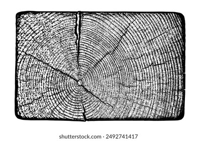 Wood tree ring texture grain cut cross section trunk timber circle growth pattern natural organic line. Annual slice stump log background vector illustration black white vintage engraving sketch drawing