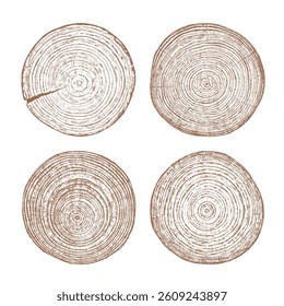 Wood tree rings texture log trunk cross section set. Natural round circle forest timber grain pattern illustration. Organic rustic brown beige wood texture isolated vector