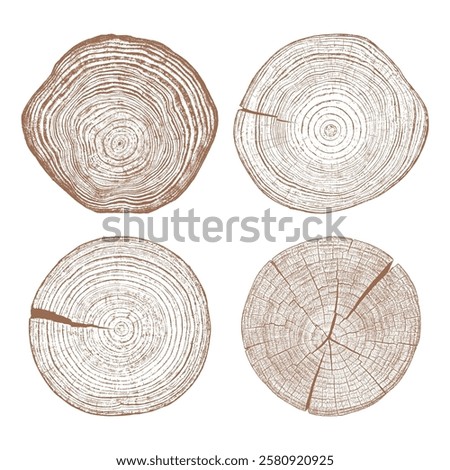 Wood tree rings texture log trunk cross section set. Natural round circle forest timber grain pattern illustration. Organic rustic brown beige wood texture isolated vector