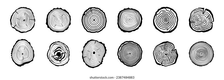 Juego de vectores de anillos de madera. Anillos troncales de árbol de madera