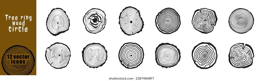 Juego de vectores de anillos de madera. Anillos troncales de árbol de madera