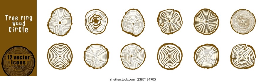 Juego de vectores de anillos de madera. Anillos troncales de árbol de madera