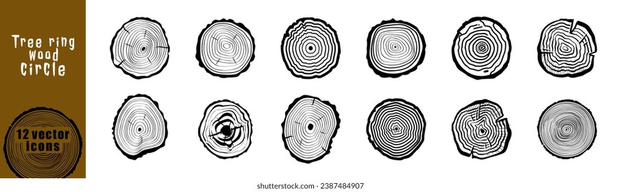 Wood Tree Rings Vector Set. Hand drawn tree ring pattern, line ripple circle wood texture