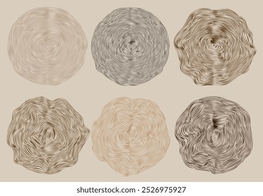 Conjunto de Vector de anillos de árbol de madera. Mapa de topografía de círculo ilustración de stock. Vector de textura de madera. Fondo Abstractas del árbol circular