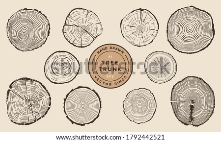 Wood Tree Trunk Rings - Hand Drawn Vector Set