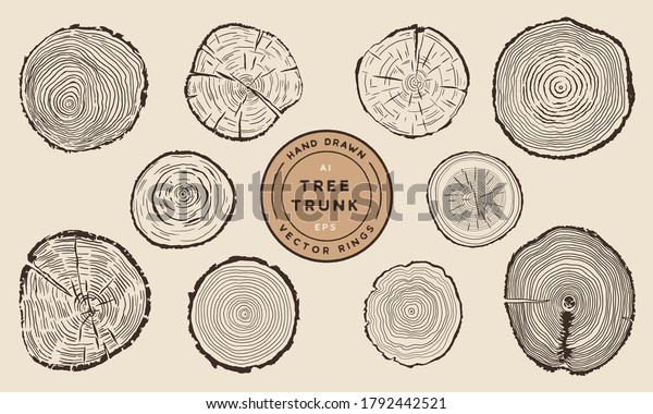 Wood Tree Trunk\
Rings - Hand Drawn Vector\
Set