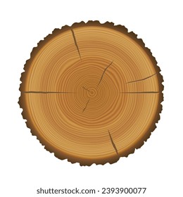 Camión de madera cortado con textura de anillos de árbol. Trozo de madera o trozo de tronco circular con anillos anuales. Cortado de pino marrón redondo aislado en fondo blanco, ilustración de caricatura vectorial