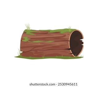 Wood trunk with moss, swamp moss growing on old log, Rainy forest concept