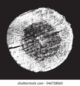 Wood trunk, tree ring, log, Black and white. Vector illustration