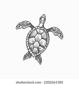 Wood turtle marine animal isolated monochrome sketch icon. Vector caretta ocean terrapin with shell, aquarium pet, mascot of sea reptile. Loggerhead sea turtle, reptile, nautical tortoise