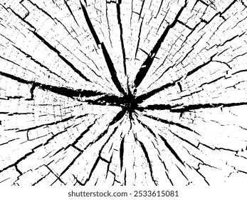 Wood vector black and white texture. Isolated grunge background. Vector abstract illustration