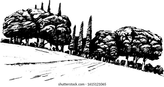 wood, vector, black-and-white computer graphics, drawing a feather, a picturesque sketch, background for wall-paper both for printing and on fabric