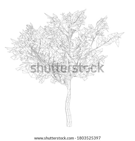 Wood wireframe made of black lines on a white background. Isolated tree on a white background. 3D. Vector illustration