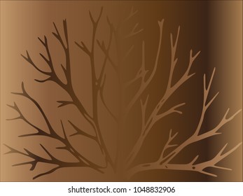 Wood without leaves