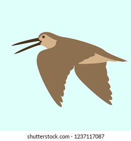 woodcock in flight , vector illustration , flat style