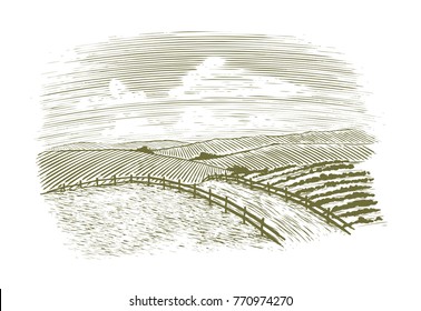 Woodcut Illustration Of A Country Road With Fields Of Crops In The Background.