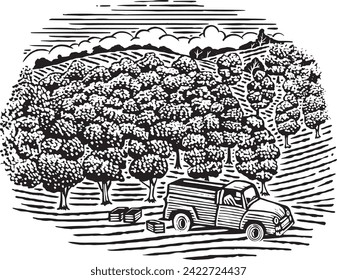 Woodcut illustration of a farm truck in front of an orchard.