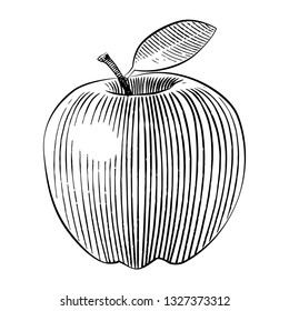 woodcut style apple illustration line art