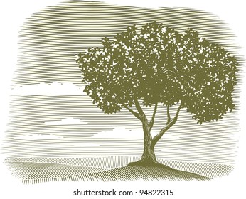 Woodcut Style Illustration Of A Country Landscape With A Tree In The Foreground.