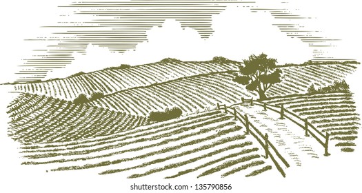 Woodcut style illustration of a country scene.