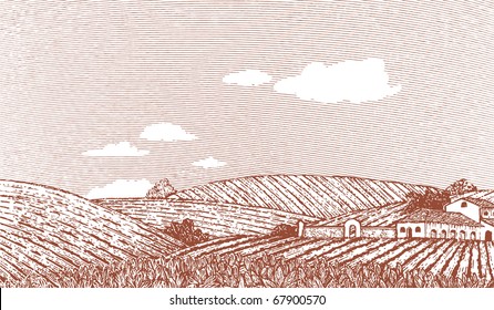 Woodcut style illustration of an Italian or Napa Vally style landscape. Note: sky can be removed and clouds can be moved by accessing the hidden layer.