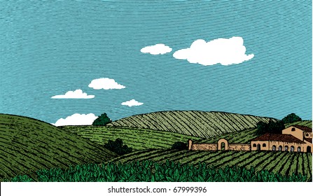 Woodcut style illustration of an Italian or Napa Vally style landscape. Note: sky can be removed and clouds can be moved by accessing the hidden layer.
