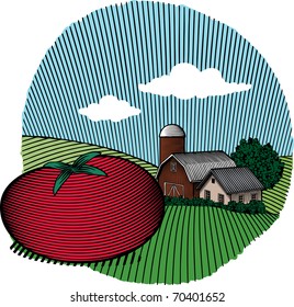 Woodcut style illustration of a tomato sitting in front of a farm scene.
