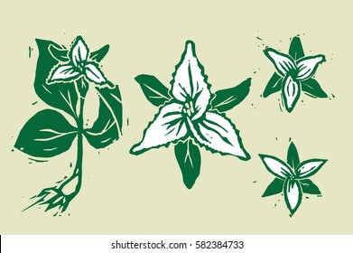 Woodcut Trillium Flowers