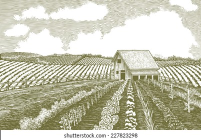 Woodcut-style illustration of a farmer's garden.