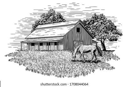 Woodcut-style illustration of a horse grazing in a field with a stable behind it.