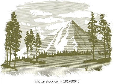 Woodcut-style illustration of a mountain landscape.