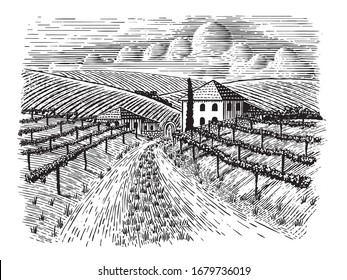 Woodcut-style illustration of a road leading back to a vineyard.